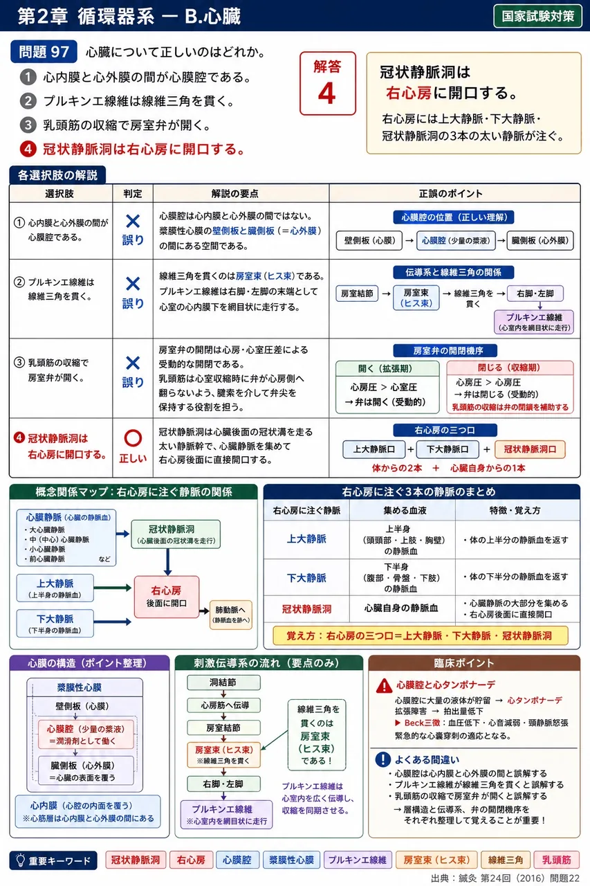 鍼灸 第24回(2016) 問題22｜心臓について正しいのはどれか。 解説図