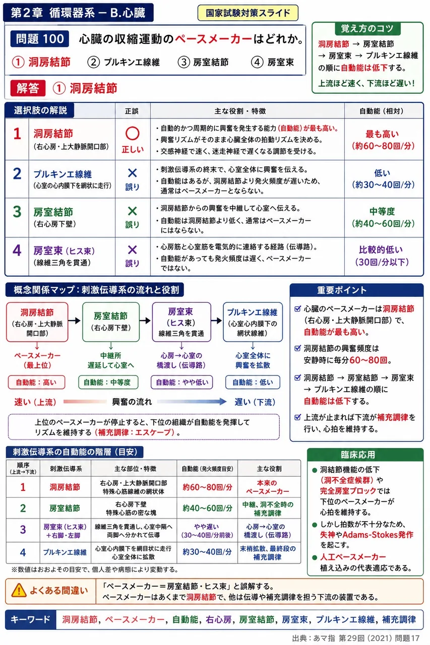 あマ指 第29回(2021) 問題17｜心臓の収縮運動のペースメーカーはどれか。 解説図