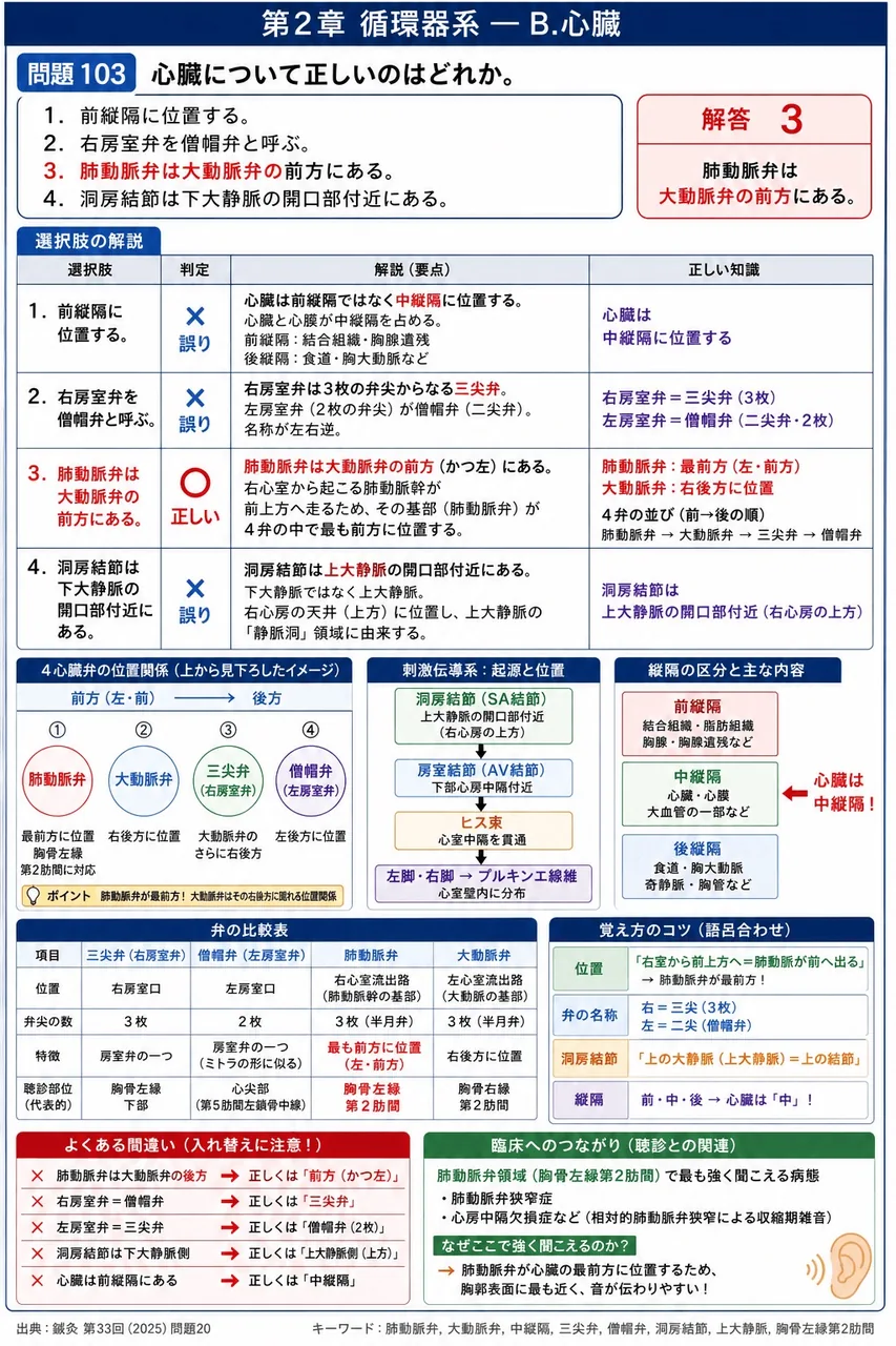 鍼灸 第33回(2025) 問題20｜心臓について正しいのはどれか。 解説図