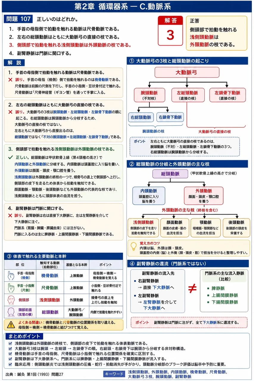 鍼灸 第1回(1993) 問題27｜正しいのはどれか。 解説図