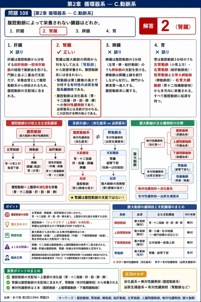 あマ指 第2回(1994) 問題29｜腹腔動脈によって栄養されない臓器はどれか。 解説図