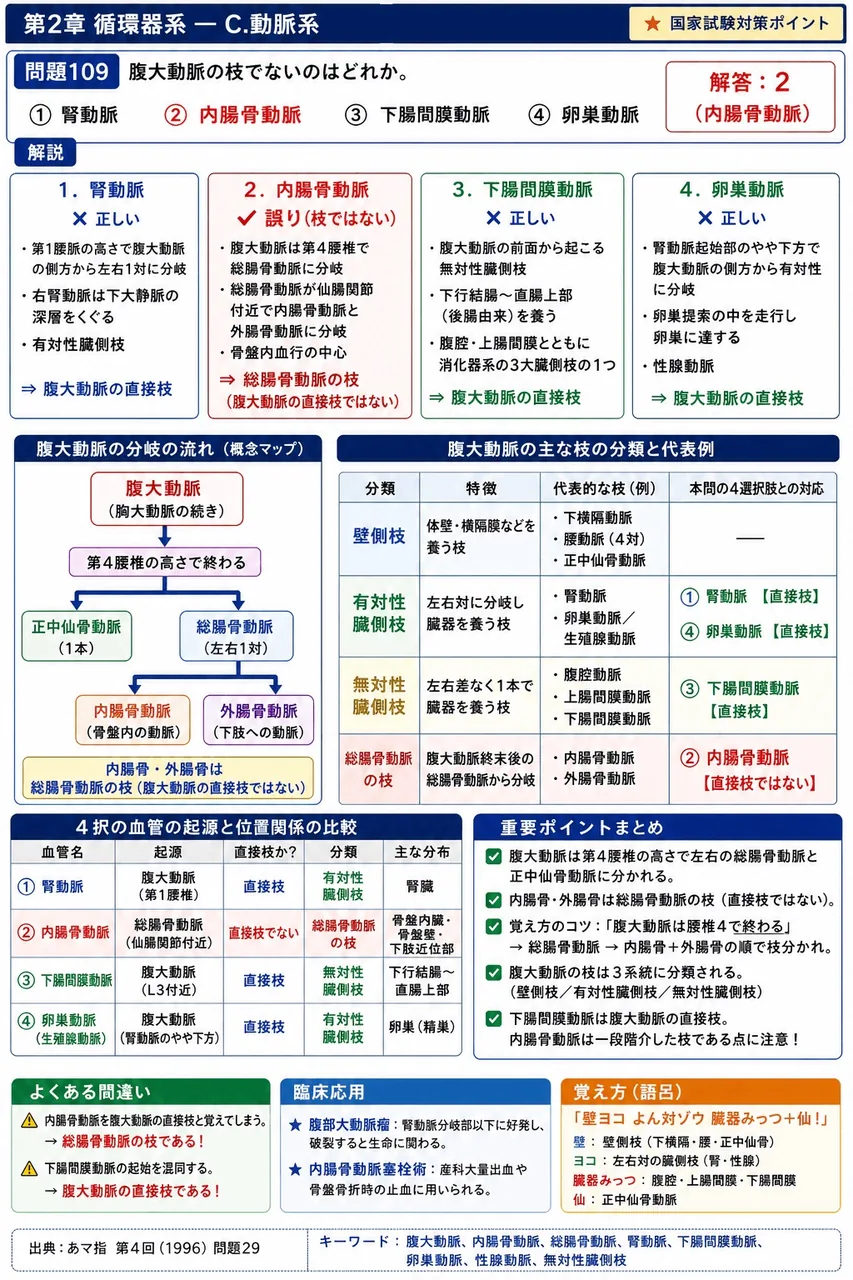 あマ指 第4回(1996) 問題29｜腹大動脈の枝でないのはどれか。 解説図