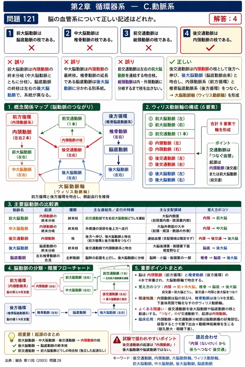 鍼灸 第11回(2003) 問題28|脳の血管系について正しい記述はどれか。 解説図