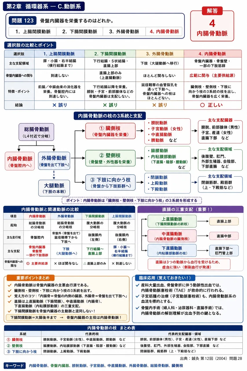 鍼灸 第12回(2004) 問題28｜骨盤内臓器を栄養するのはどれか。 解説図