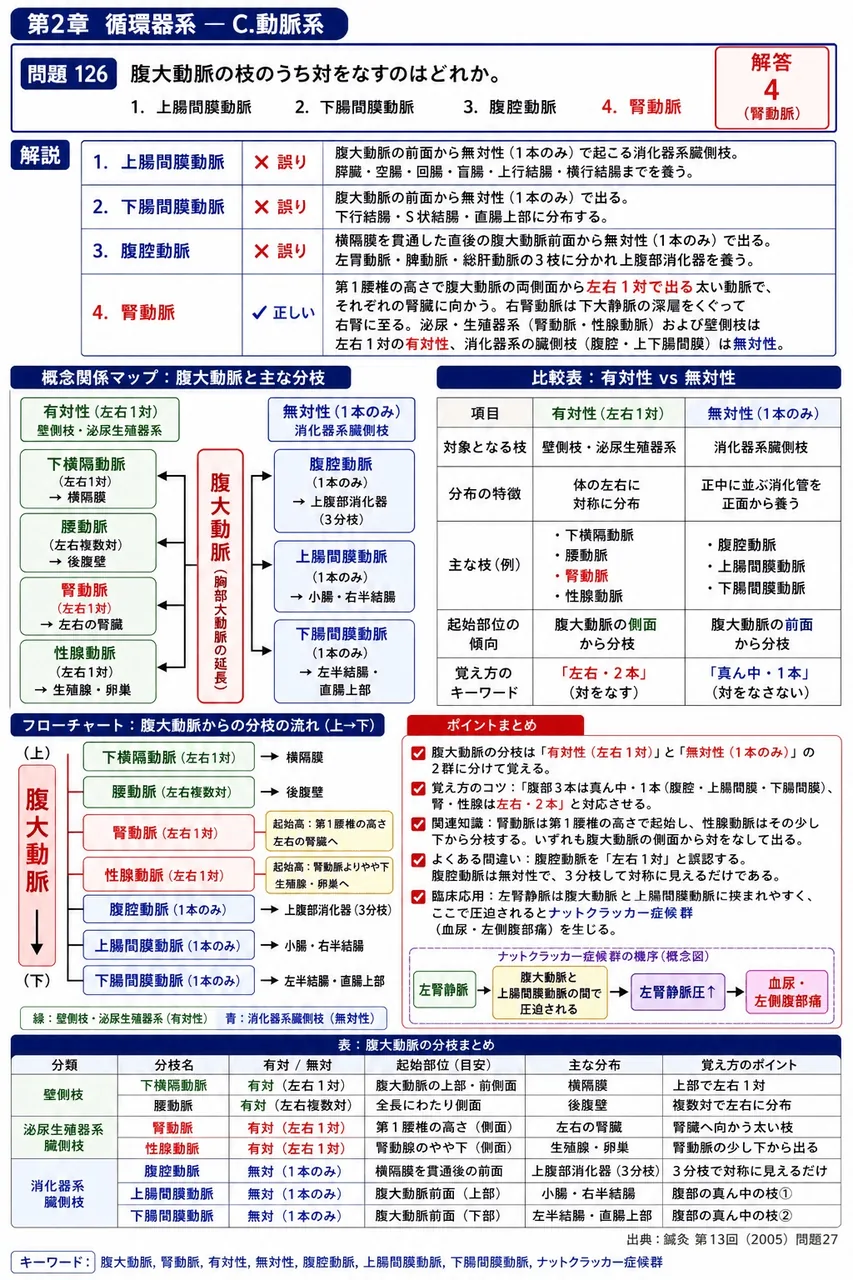 鍼灸 第13回(2005) 問題27|腹大動脈の枝のうち対をなすのはどれか。 解説図
