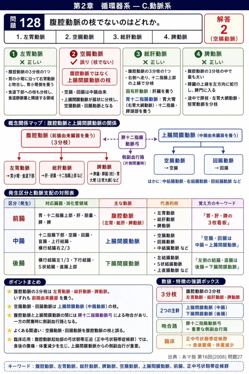 あマ指 第16回(2008) 問題27｜腹腔動脈の枝でないのはどれか。 解説図