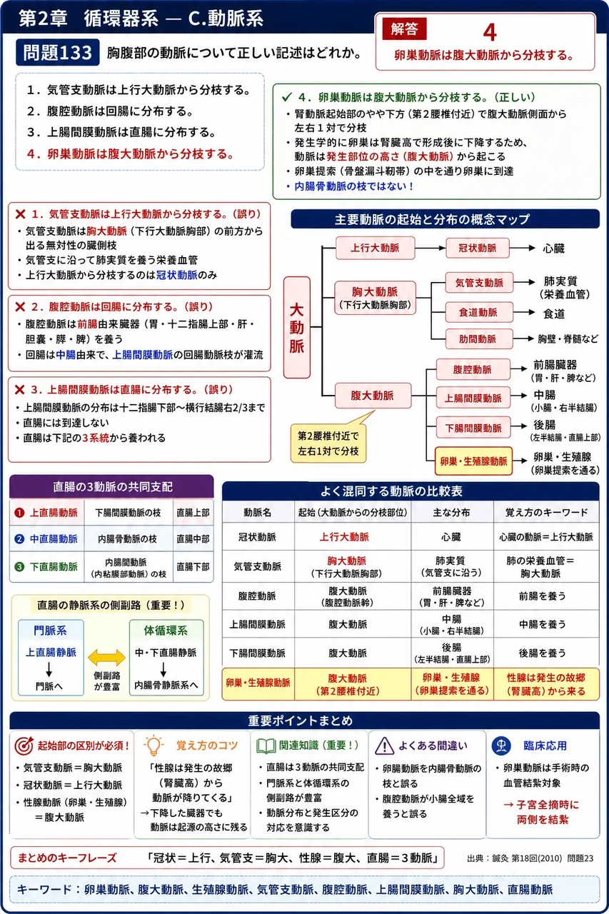 鍼灸 第18回(2010) 問題23｜胸腹部の動脈について正しい記述はどれか。 解説図