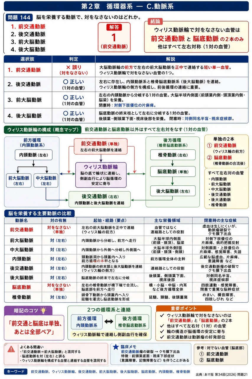 あマ指 第34回(2026) 問題21｜脳を栄養する動脈で、対をなさないのはどれか。 解説図