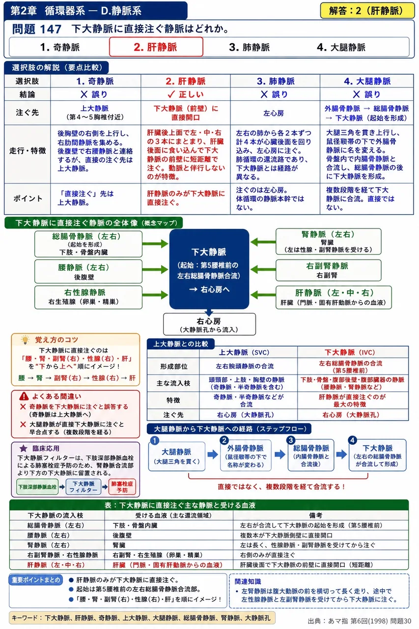 あマ指 第6回(1998) 問題30｜下大静脈に直接注ぐ静脈はどれか。 解説図