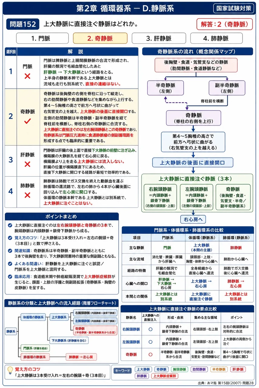あマ指 第15回(2007) 問題28｜上大静脈に直接注ぐ静脈はどれか。 解説図