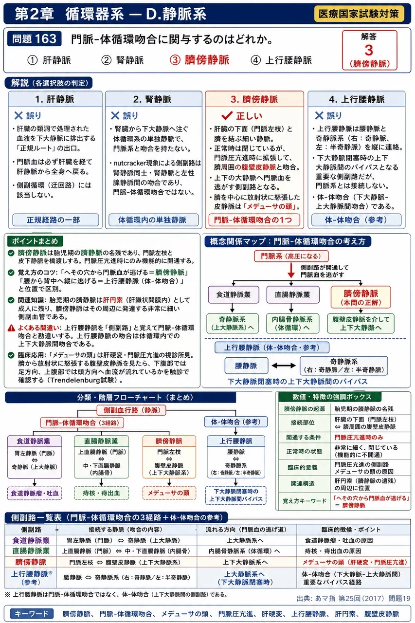 あマ指 第25回(2017) 問題19｜門脈-体循環吻合に関与するのはどれか。 解説図