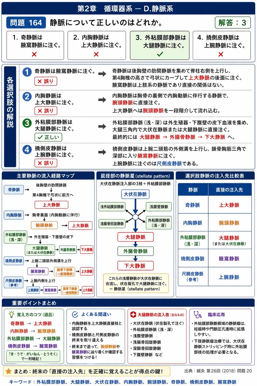 鍼灸 第26回(2018) 問題20｜静脈について正しいのはどれか。 解説図