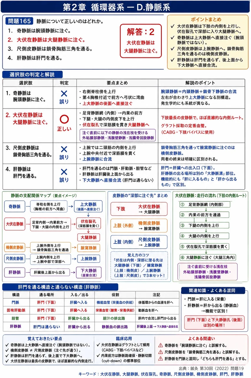 鍼灸 第30回(2022) 問題19｜静脈について正しいのはどれか。 解説図