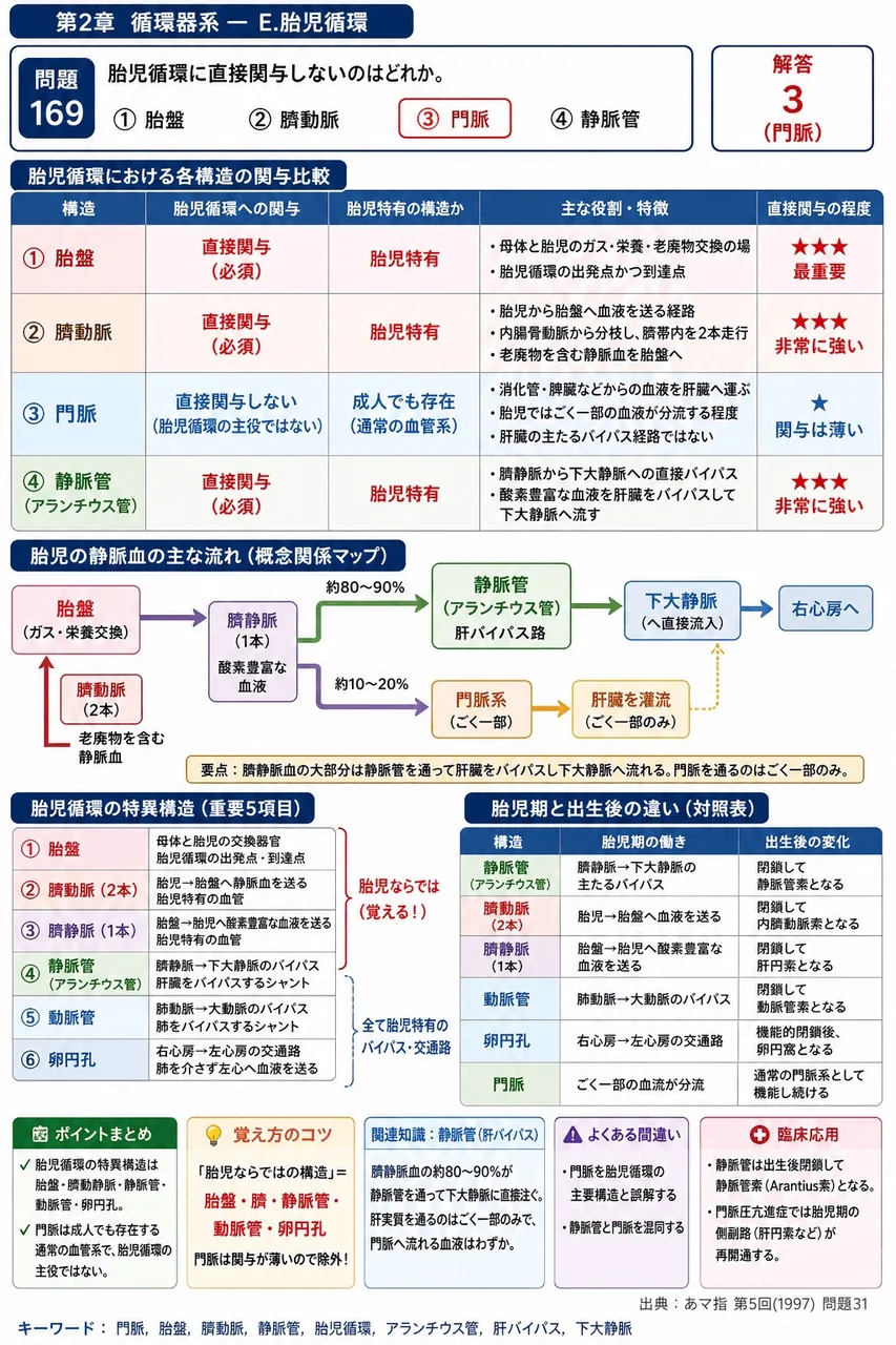 あマ指 第5回(1997) 問題31｜胎児循環に直接関与しないのはどれか。 解説図