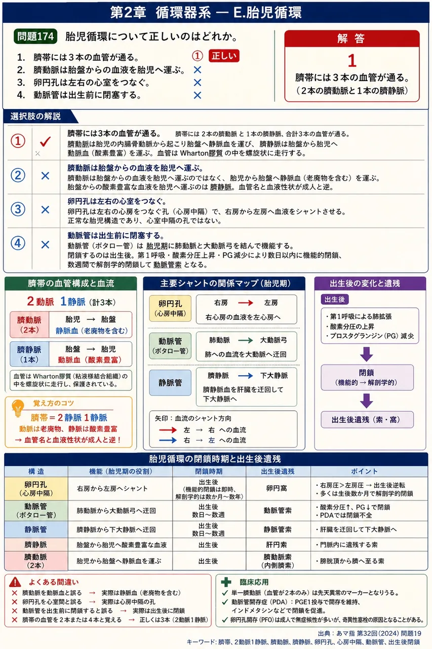 あマ指 第32回(2024) 問題19｜胎児循環について正しいのはどれか。 解説図
