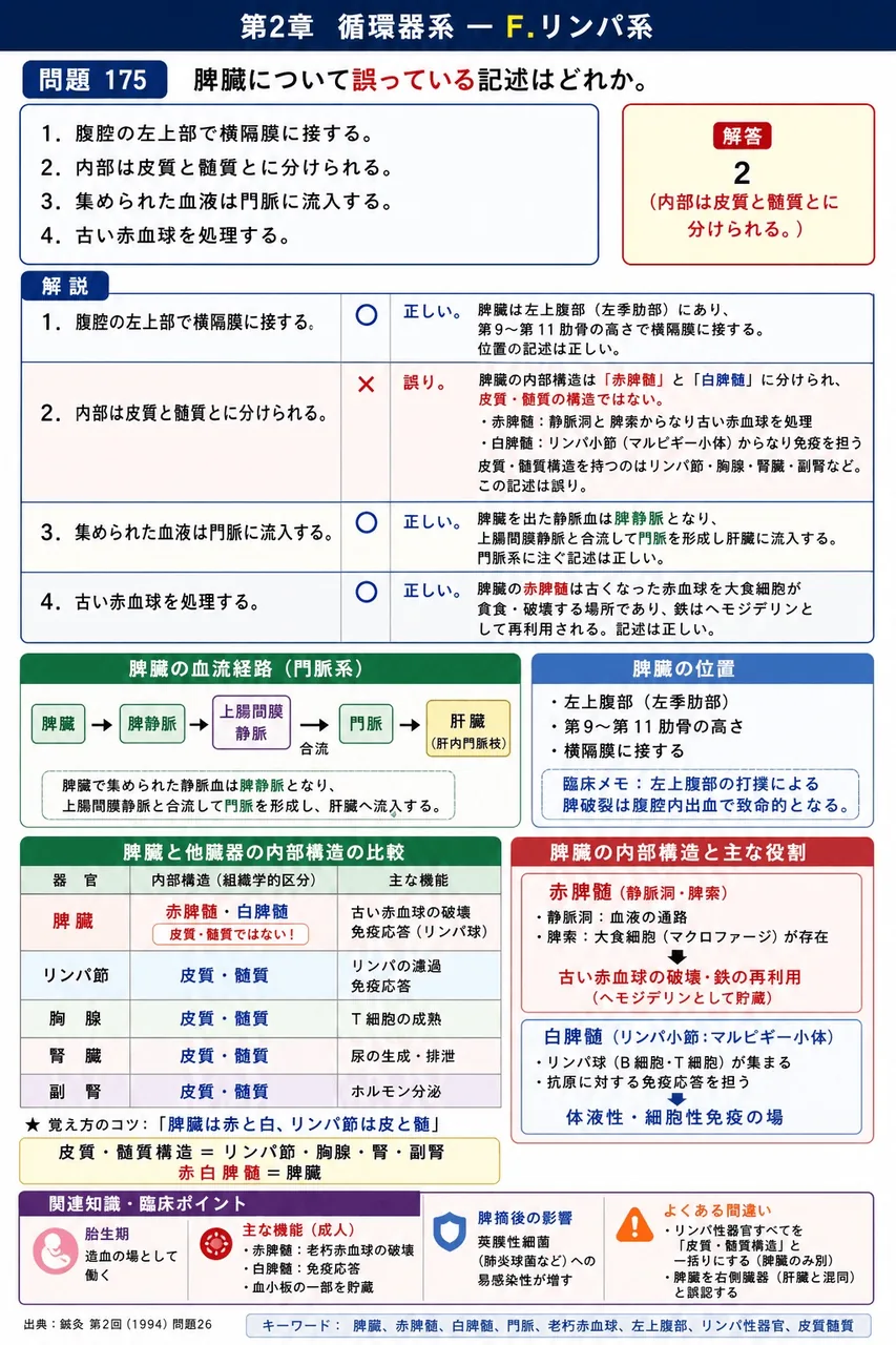 鍼灸 第2回(1994) 問題26｜脾臓について誤っている記述はどれか。 解説図