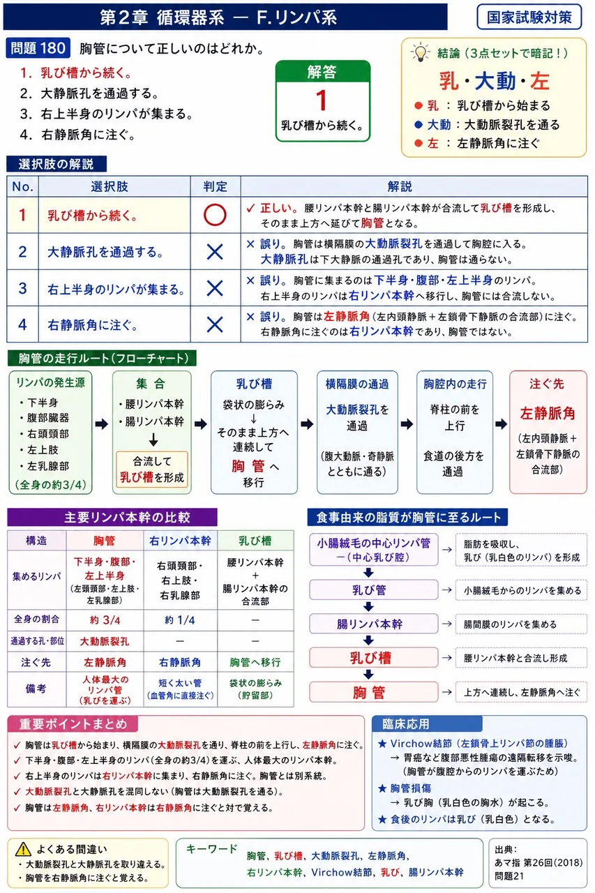 あマ指 第26回(2018) 問題21｜胸管について正しいのはどれか。 解説図