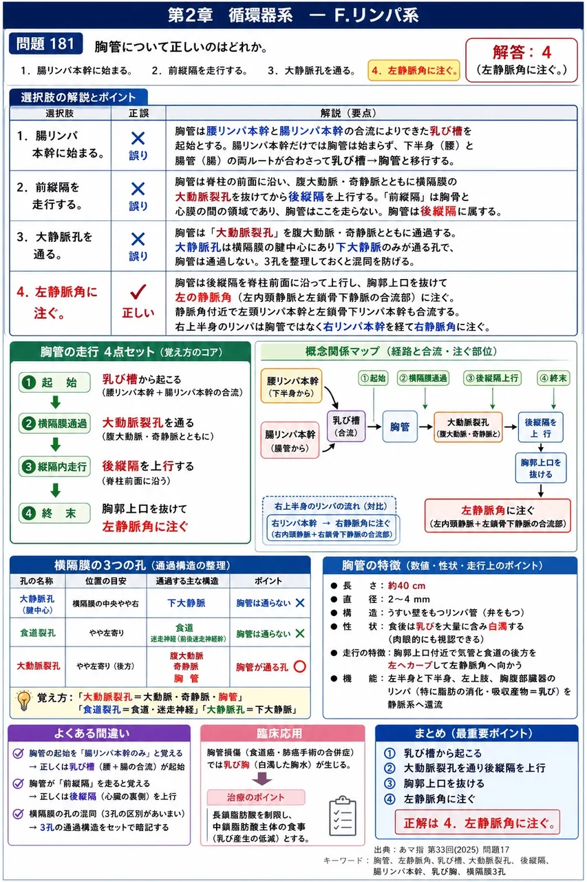 あマ指 第33回(2025) 問題17｜胸管について正しいのはどれか。 解説図