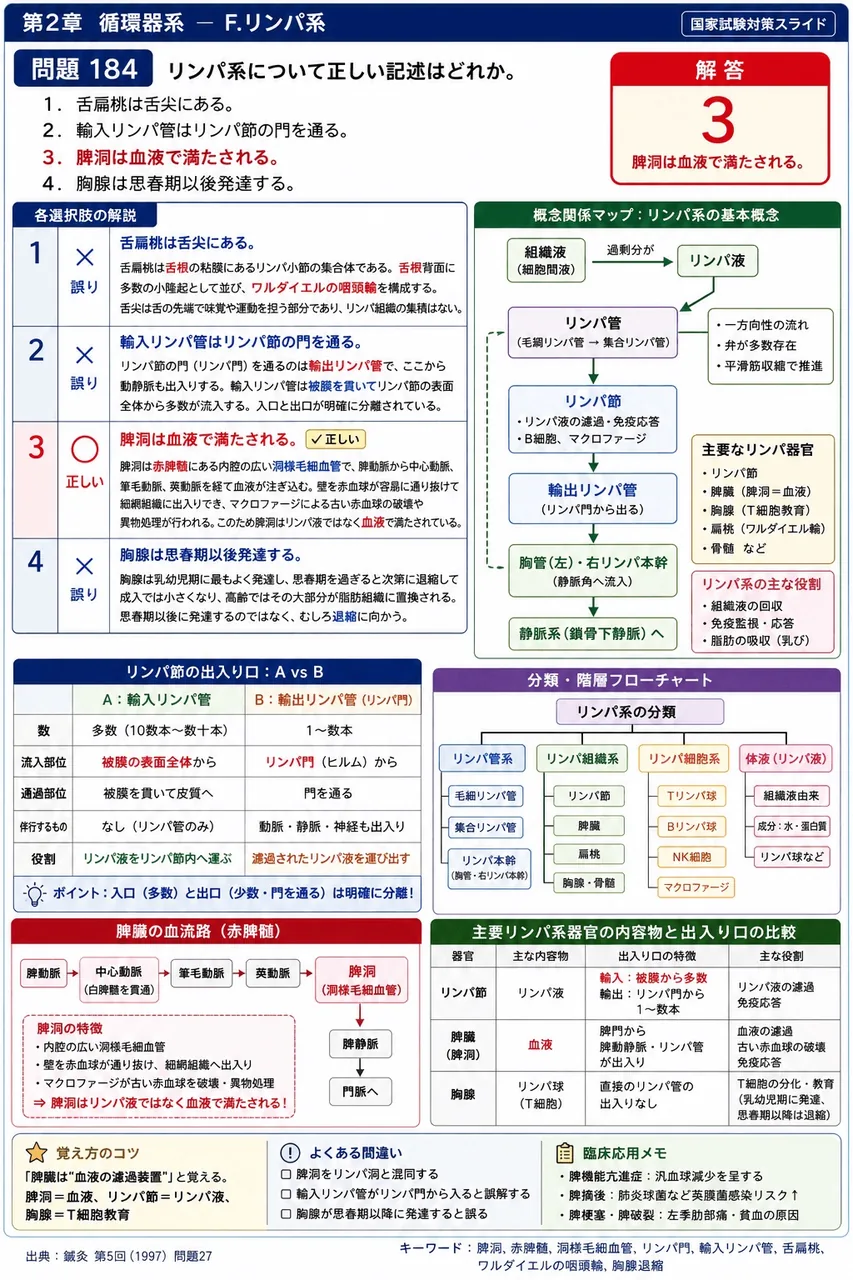 鍼灸 第5回(1997) 問題27｜リンパ系について正しい記述はどれか。 解説図