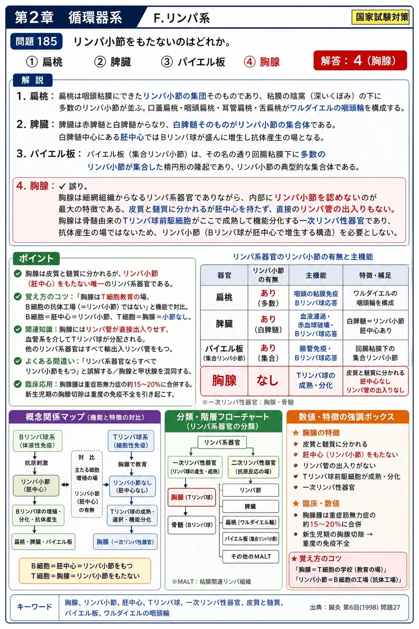 鍼灸 第6回(1998) 問題27｜リンパ小節をもたないのはどれか。 解説図
