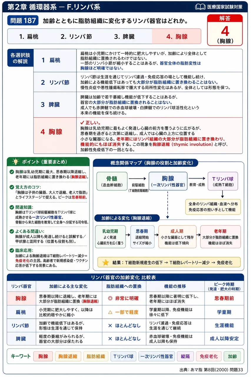あマ指 第8回(2000) 問題33｜加齢とともに脂肪組織に変化するリンパ器官はどれか。 解説図