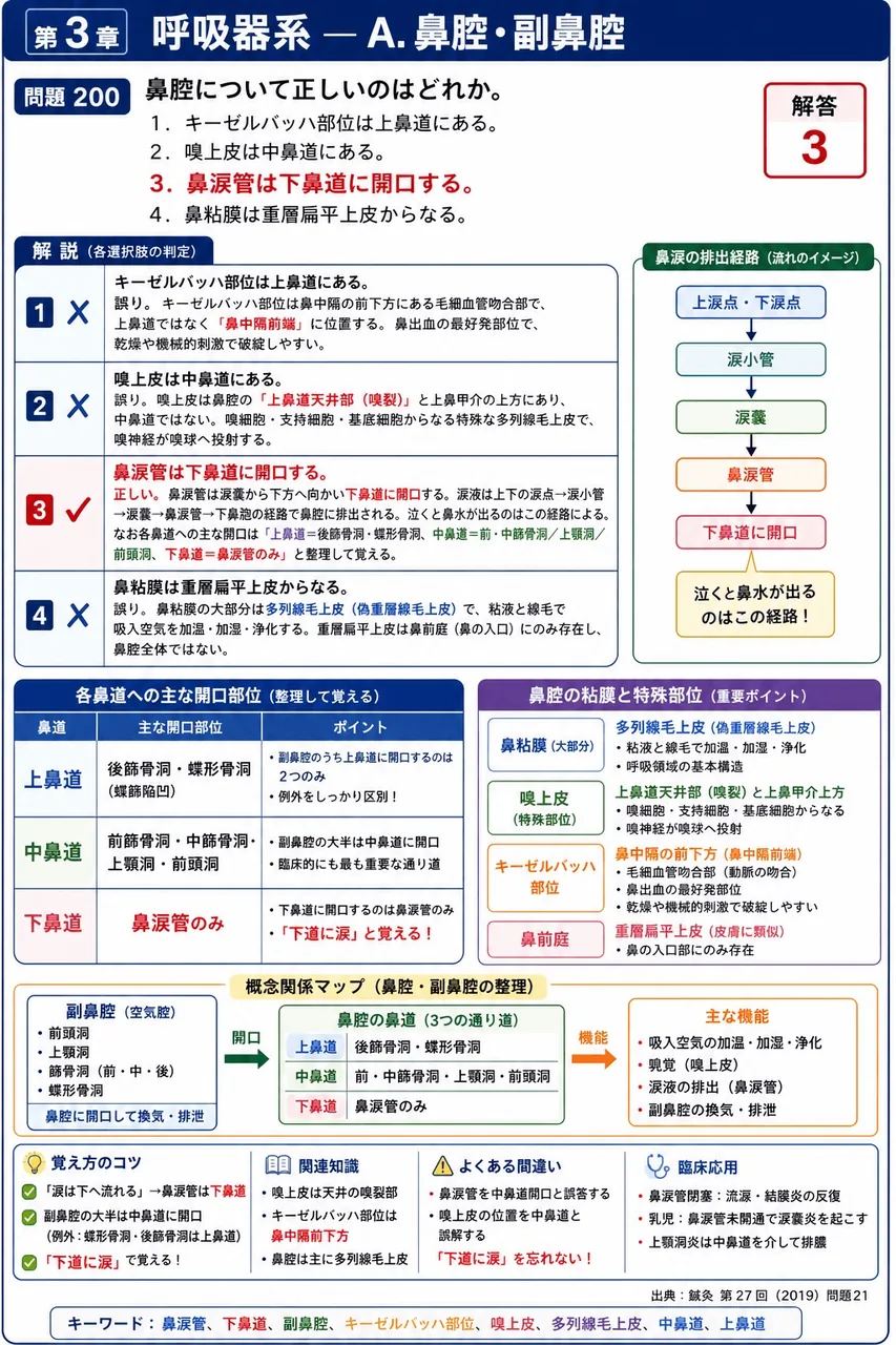 鍼灸 第27回(2019) 問題21｜鼻腔について正しいのはどれか。 解説図