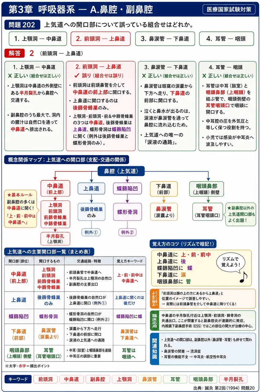 鍼灸 第2回(1994) 問題20｜上気道への開口部について誤っている組合せはどれか。 解説図