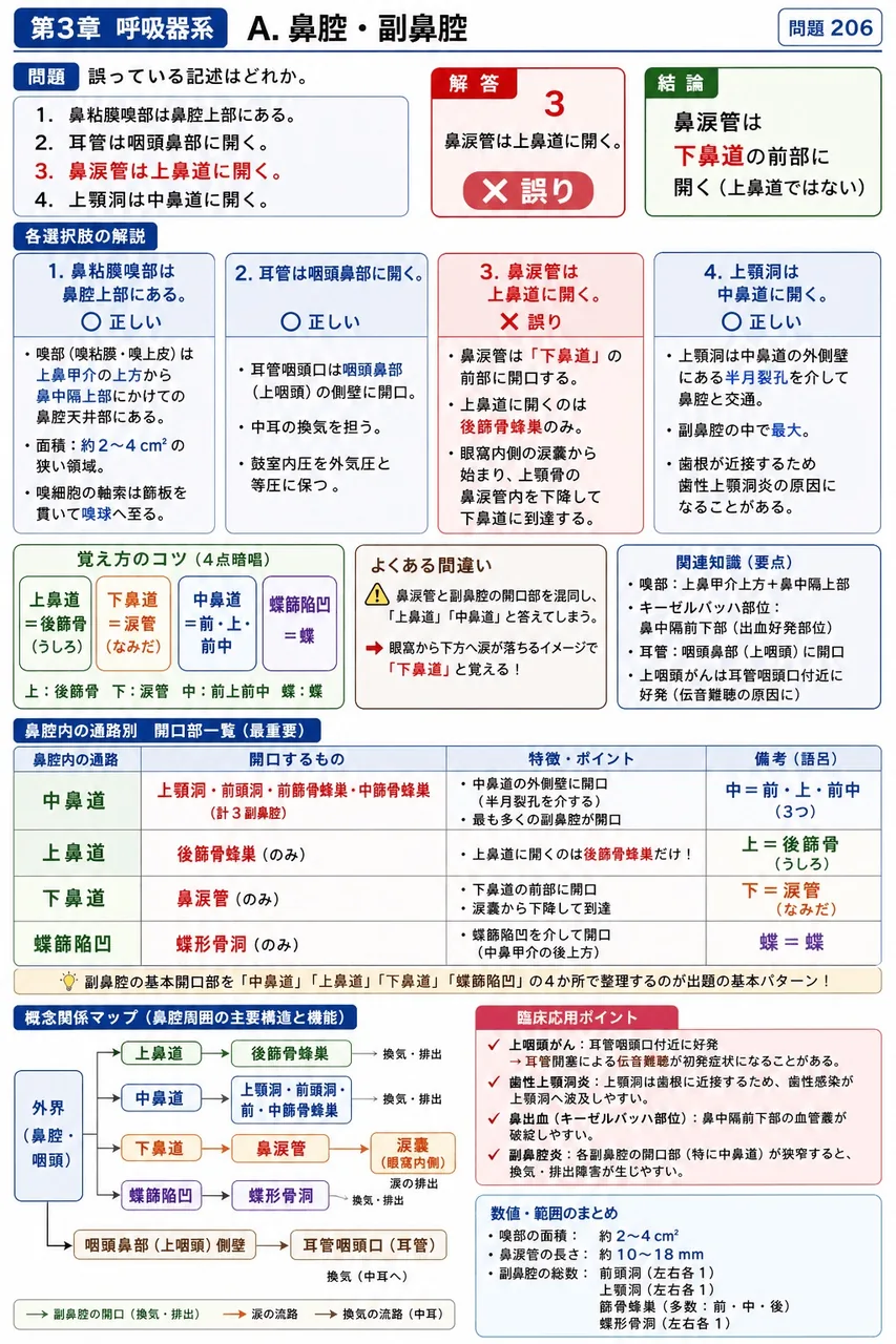 あマ指 第10回(2002) 問題28｜誤っている記述はどれか。 解説図