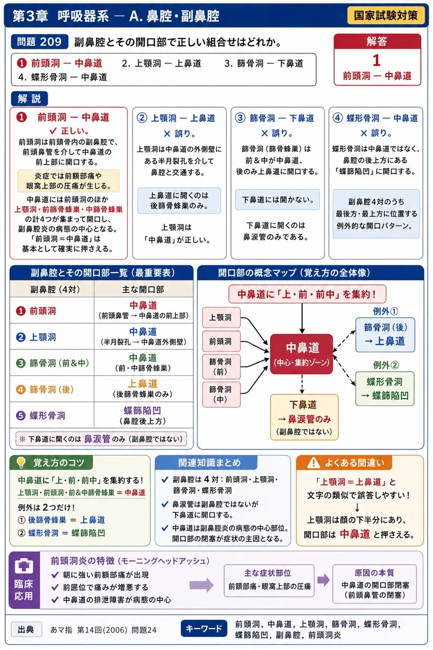 あマ指 第14回(2006) 問題24｜副鼻腔とその開口部で正しい組合せはどれか。 解説図