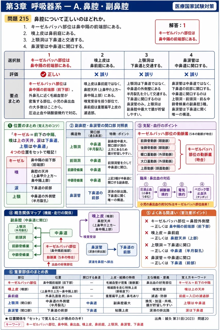 鍼灸 第31回(2023) 問題20｜鼻腔について正しいのはどれか。 解説図