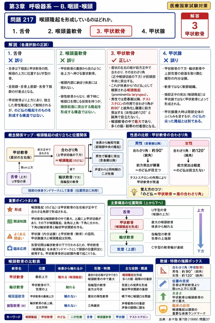 あマ指 第7回(1999) 問題37｜喉頭隆起を形成しているのはどれか。 解説図