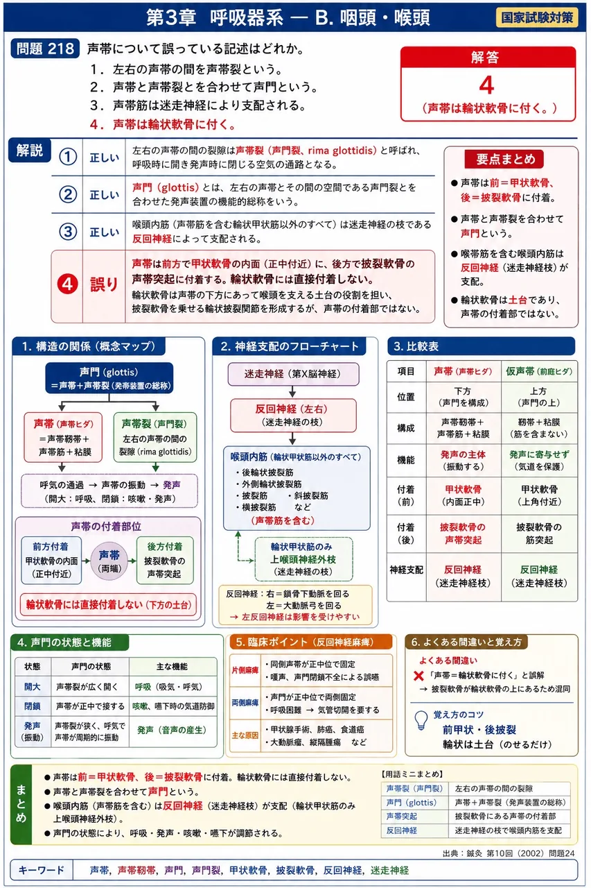 鍼灸 第10回(2002) 問題24｜声帯について誤っている記述はどれか。 解説図