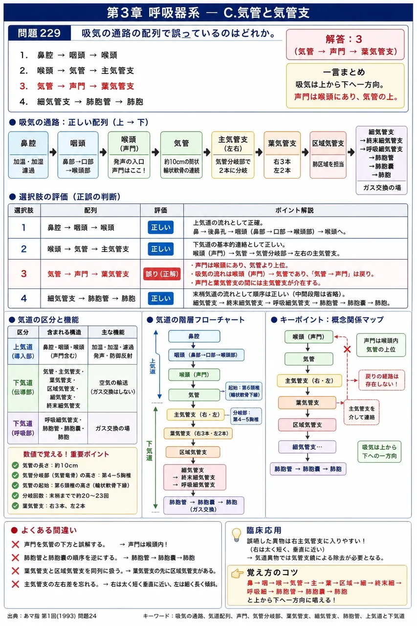 あマ指 第1回(1993) 問題24|吸気の通路の配列で誤っているのはどれか。 解説図