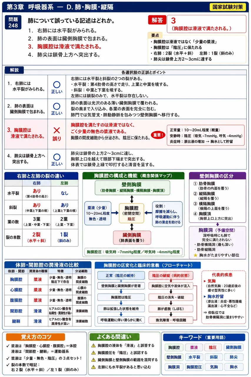 鍼灸 第8回(2000) 問題21｜肺について誤っている記述はどれか。 解説図