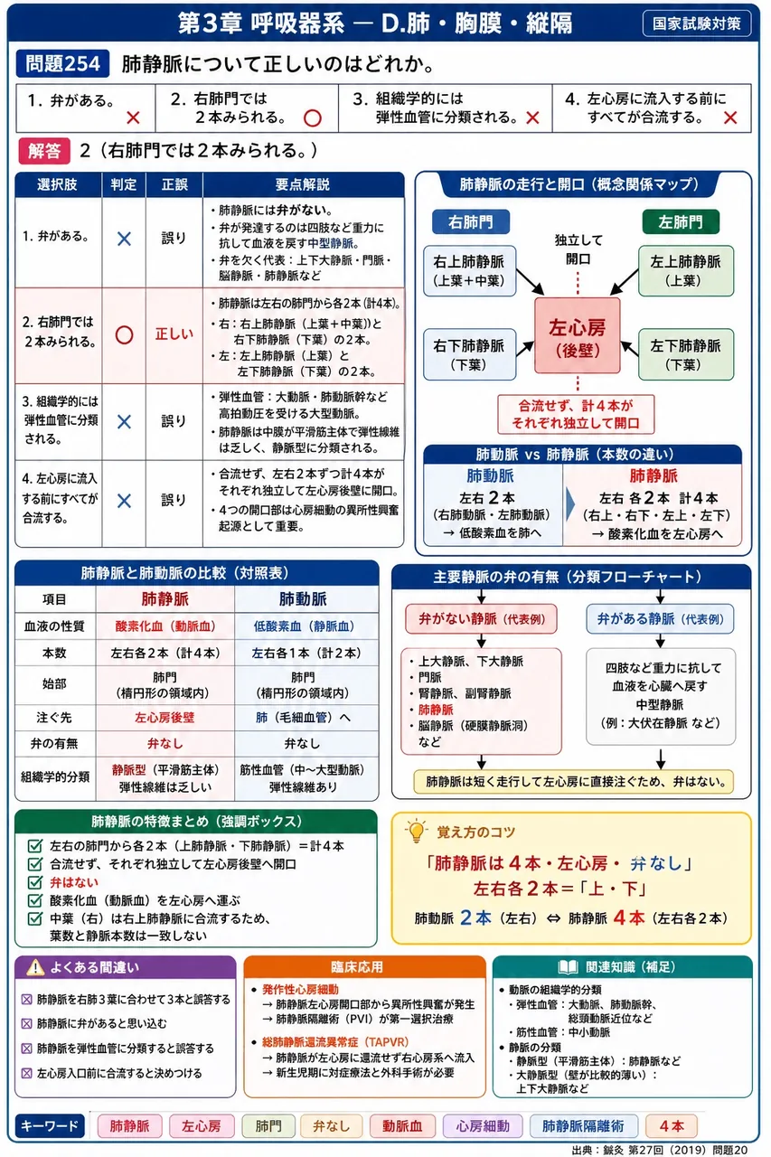 鍼灸 第27回(2019) 問題20｜肺静脈について正しいのはどれか。 解説図