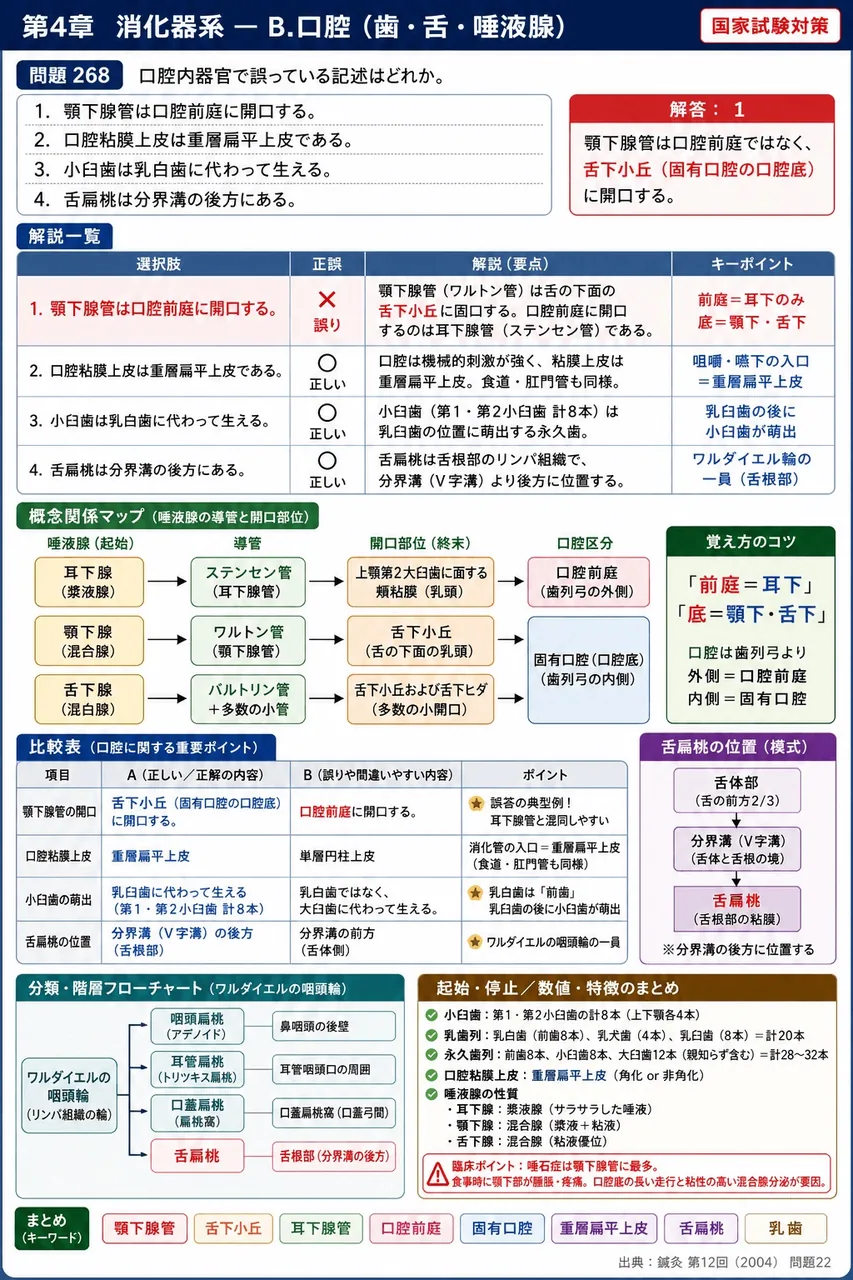 鍼灸 第12回(2004) 問題22|口腔内器官で誤っている記述はどれか。 解説図