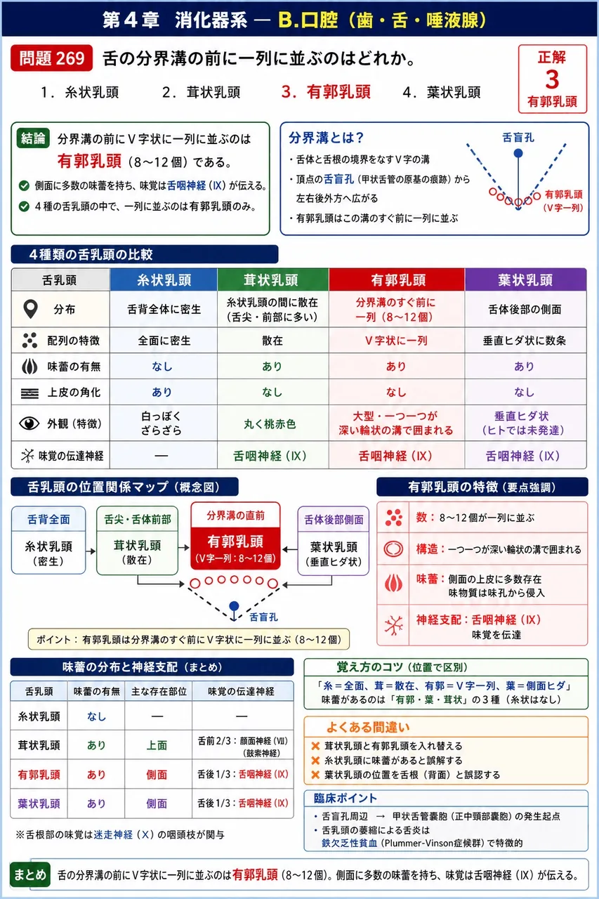 鍼灸 第14回(2006) 問題21|舌の分界溝の前に一列に並ぶのはどれか。 解説図