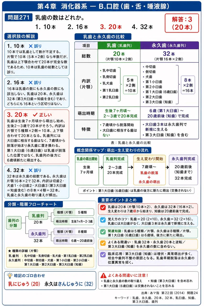 あマ指 第22回(2014) 問題24｜乳歯の数はどれか。 解説図