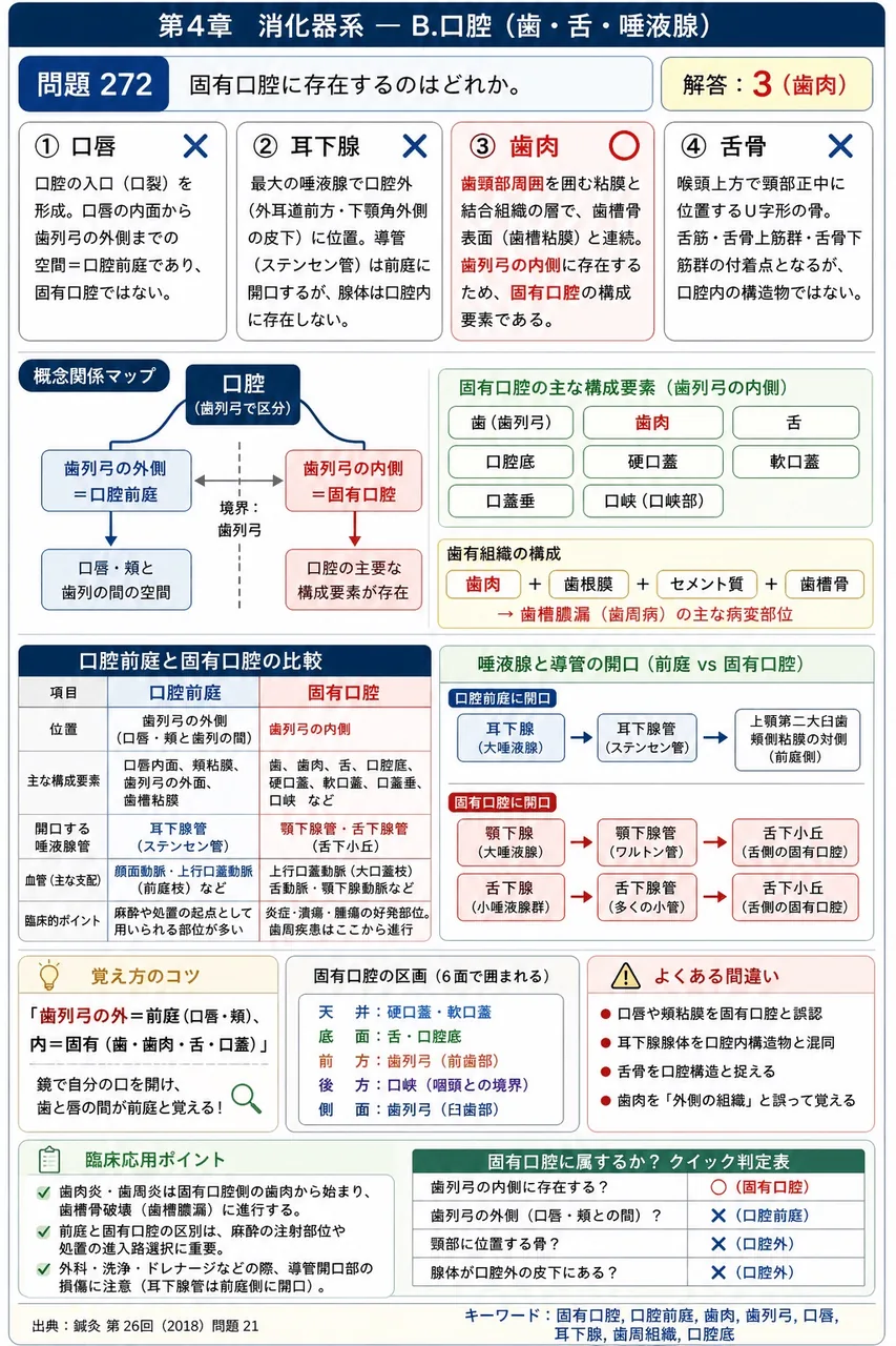 鍼灸 第26回(2018) 問題21|固有口腔に存在するのはどれか。 解説図