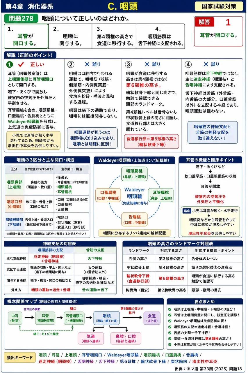あマ指 第33回(2025) 問題18｜咽頭について正しいのはどれか。 解説図