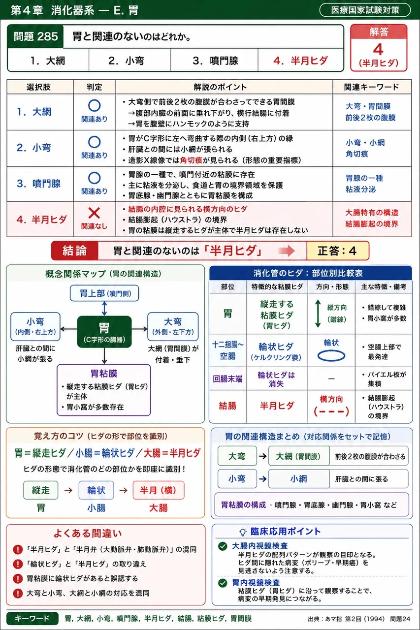あマ指 第2回(1994) 問題24|胃と関連のないのはどれか。 解説図