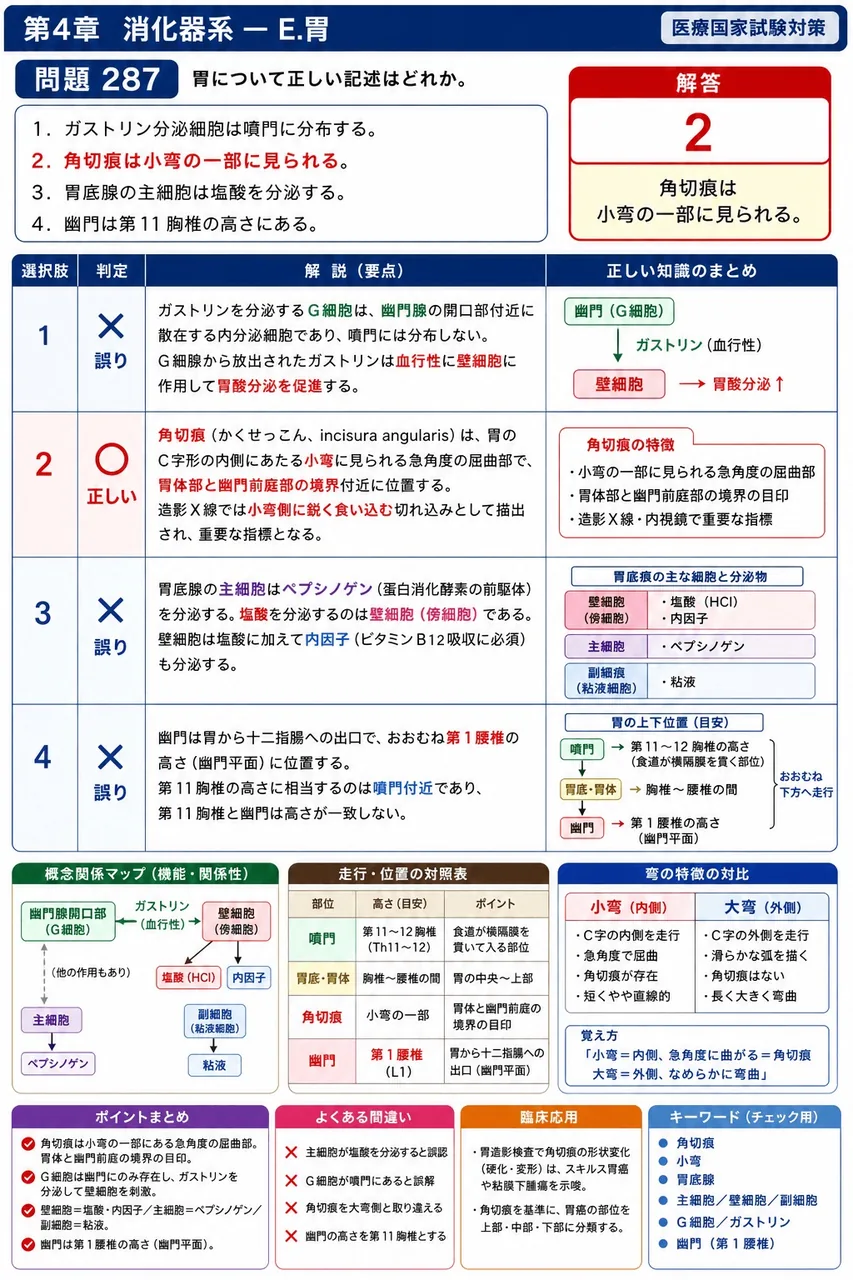 鍼灸 第14回(2006) 問題22｜胃について正しい記述はどれか。 解説図