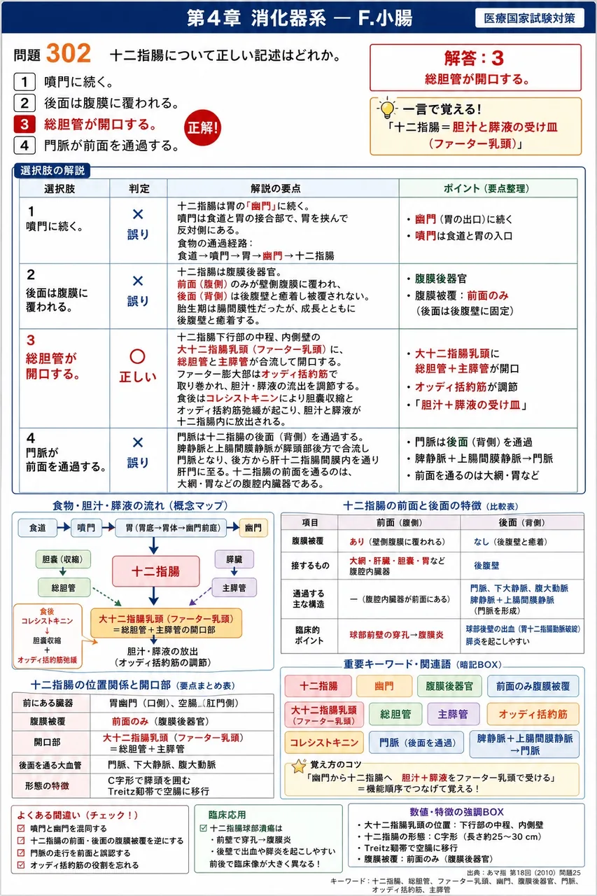 あマ指 第18回(2010) 問題25｜十二指腸について正しい記述はどれか。 解説図