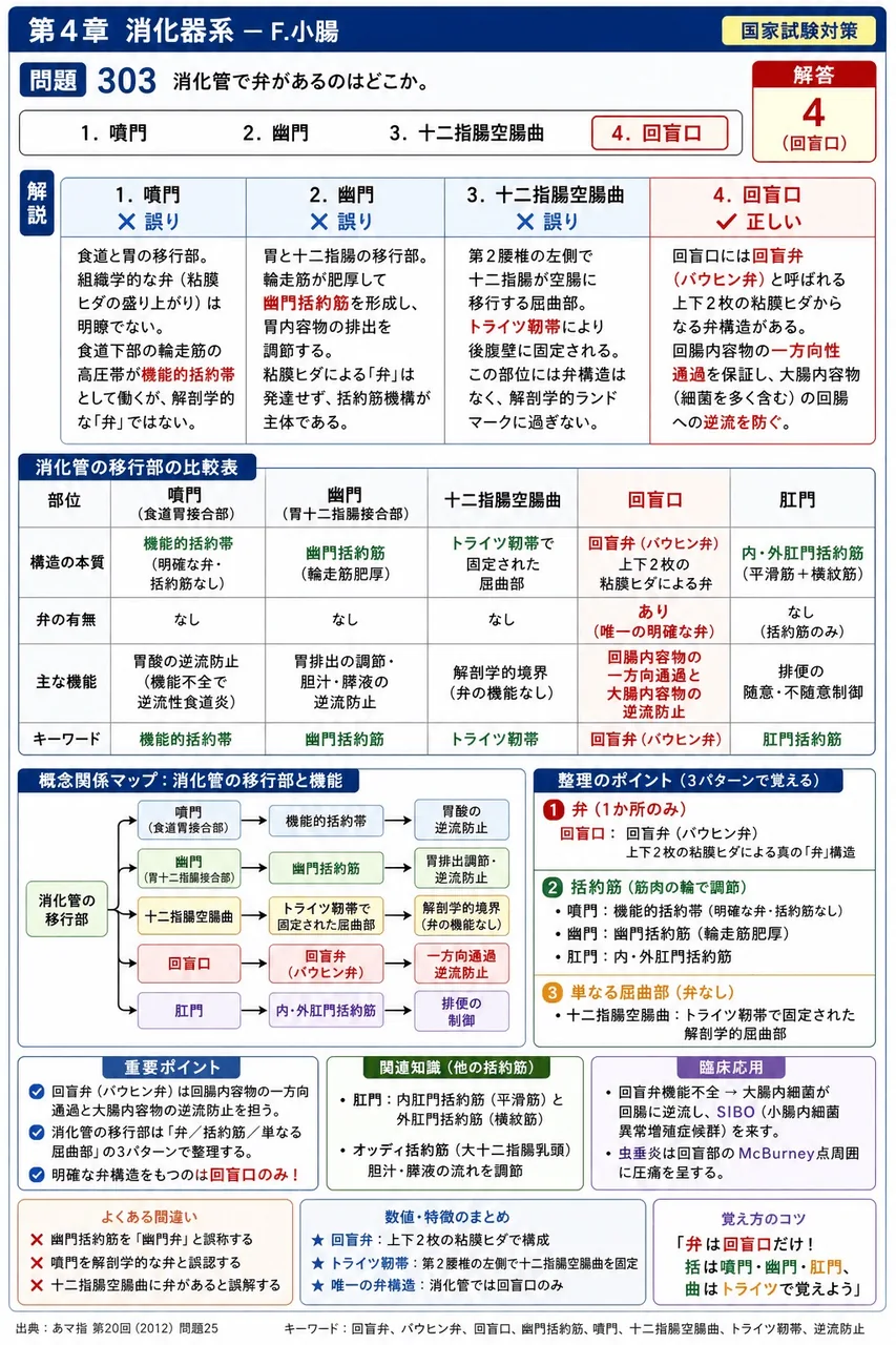 あマ指 第20回(2012) 問題25｜消化管で弁があるのはどこか。 解説図