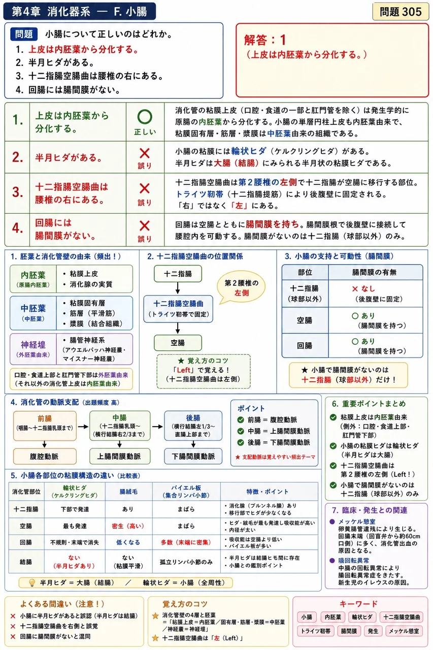 鍼灸 第29回(2021) 問題20|小腸について正しいのはどれか。 解説図