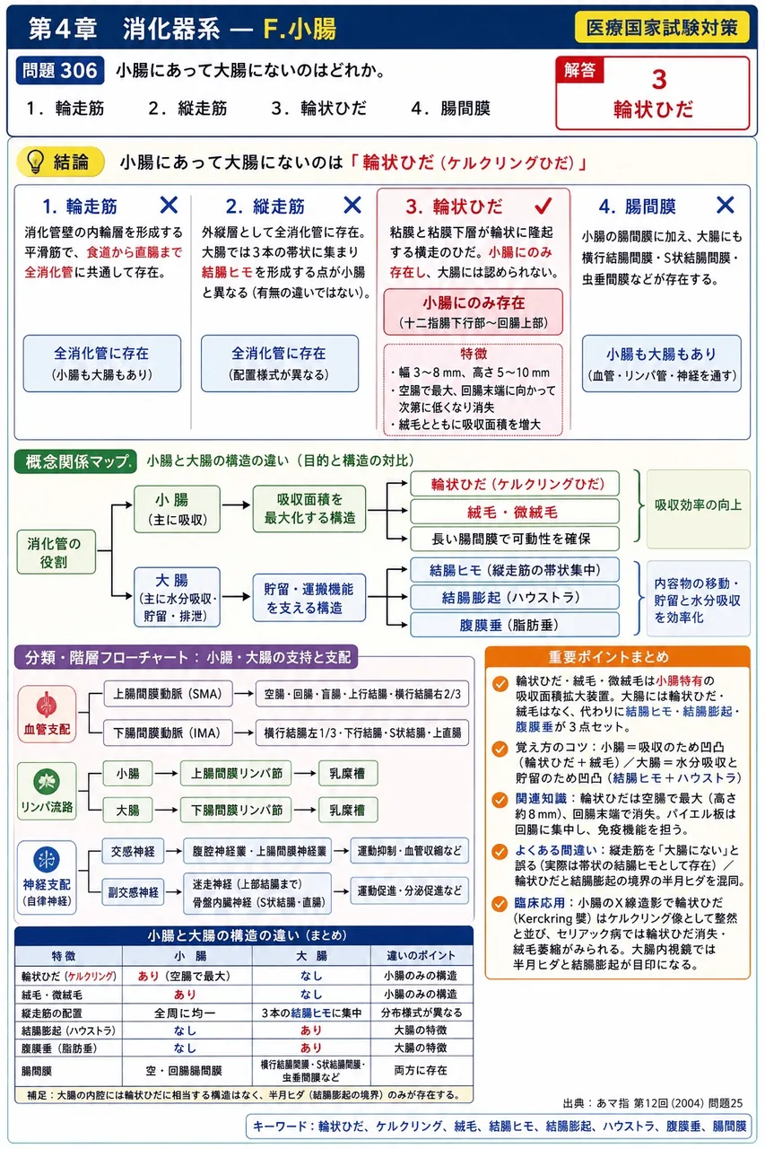 あマ指 第12回(2004) 問題25｜小腸にあって大腸にないのはどれか。 解説図