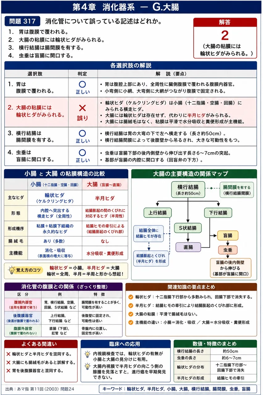 あマ指 第11回(2003) 問題24｜消化管について誤っている記述はどれか。 解説図