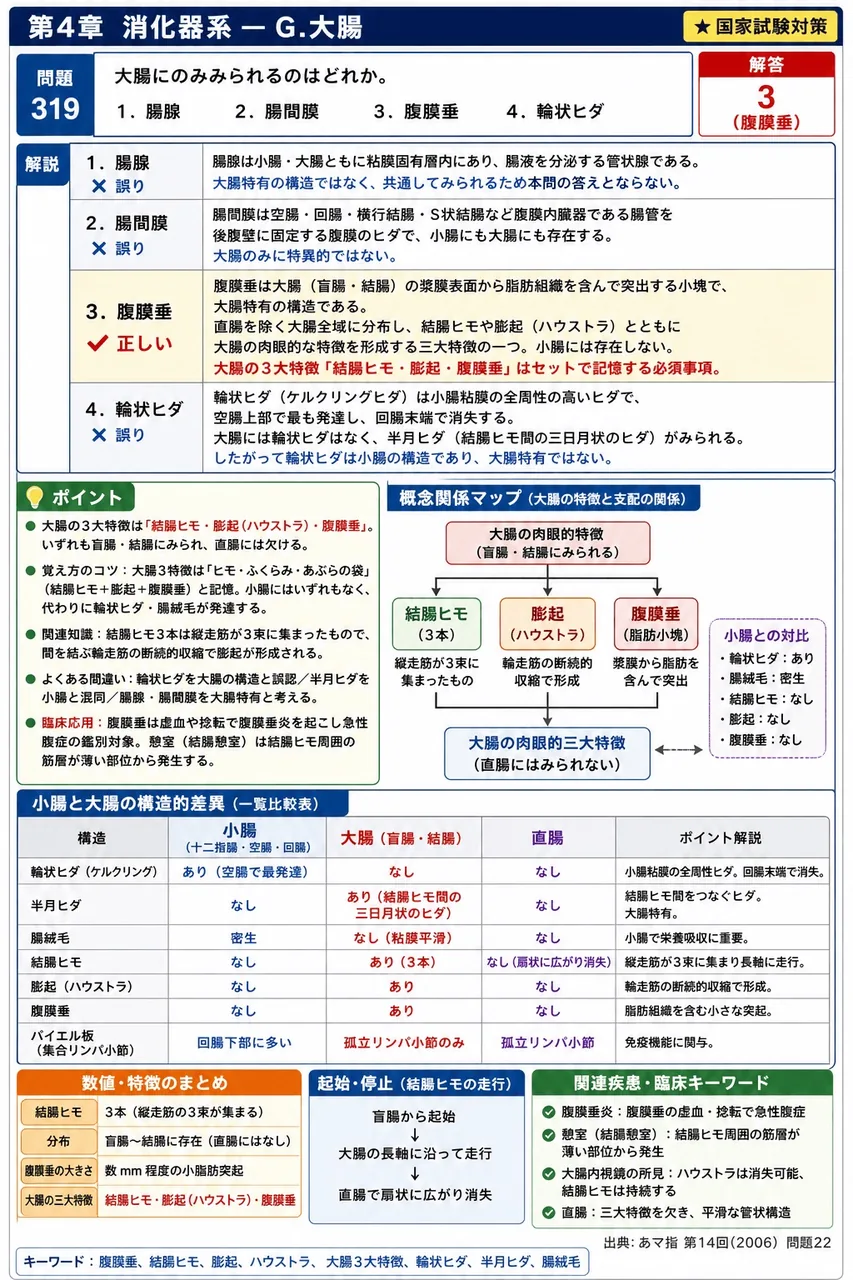 あマ指 第14回(2006) 問題22|大腸にのみみられるのはどれか。 解説図