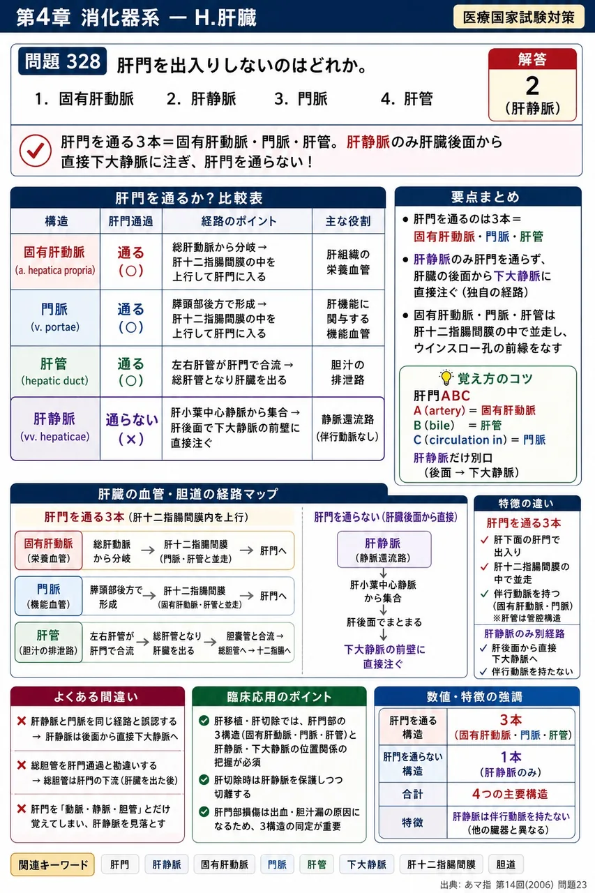 あマ指 第14回(2006) 問題23｜肝門を出入りしないのはどれか。 解説図
