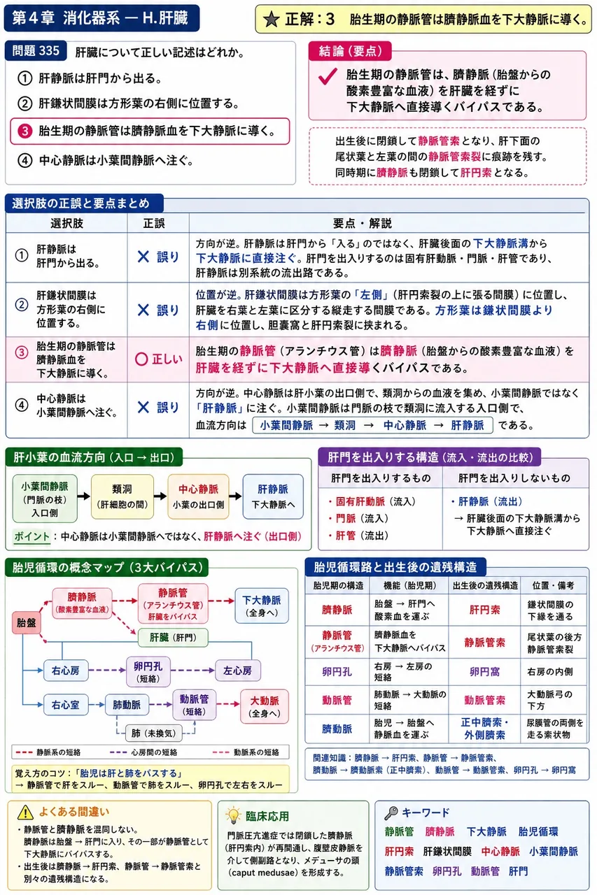 鍼灸 第16回(2008) 問題21｜肝臓について正しい記述はどれか。 解説図